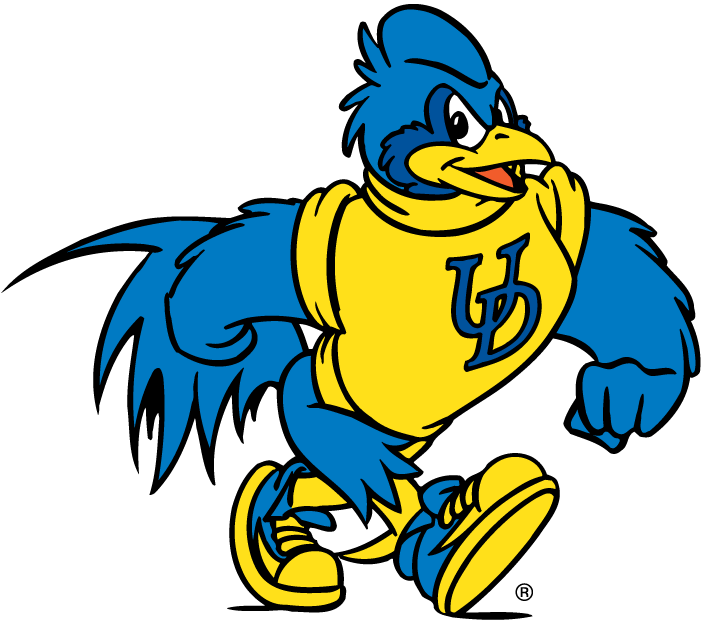 delaware blue hens 1993-pres mascot Logo v5 iron on transfers for fabric